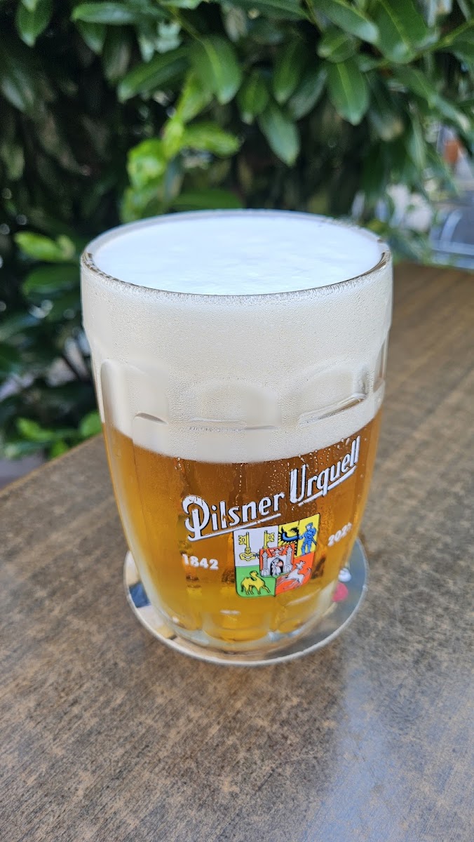 Sokolovna Restaurant-5