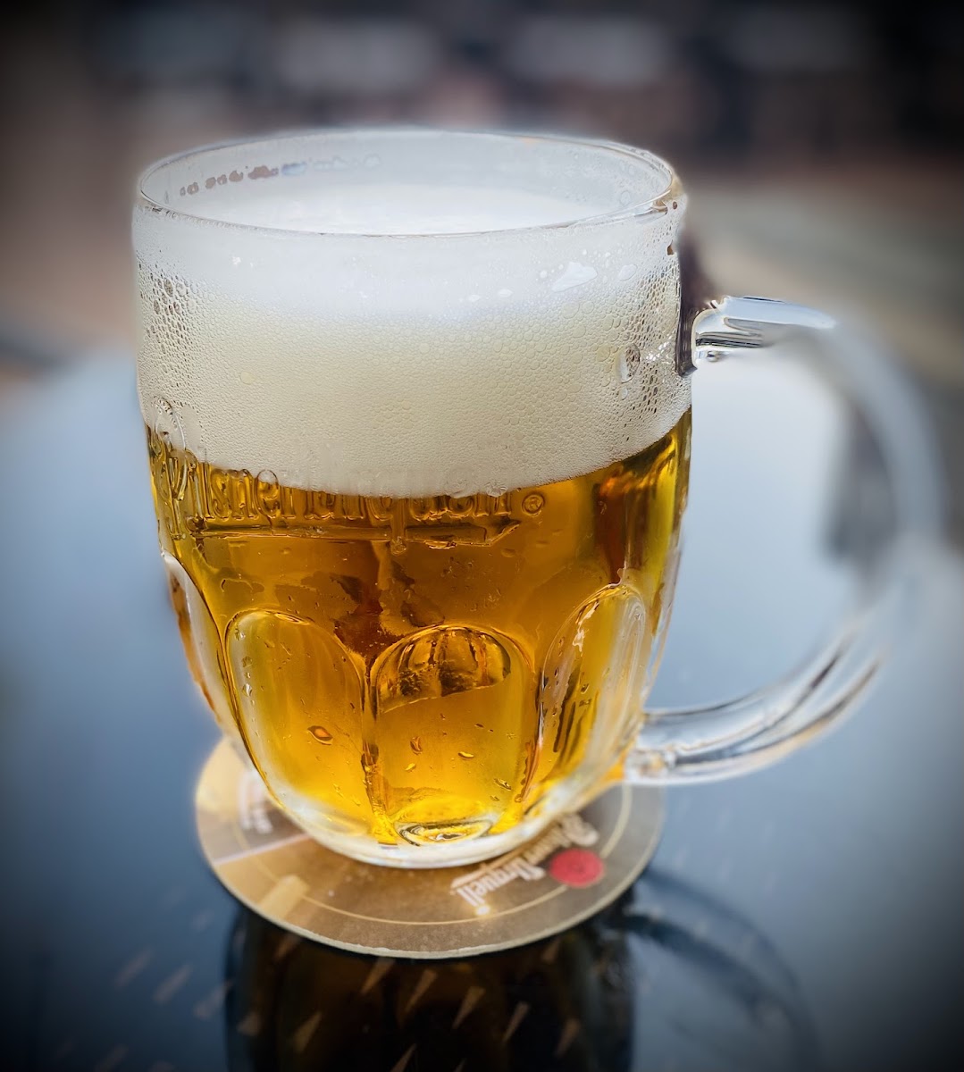 Sokolovna Restaurant-6